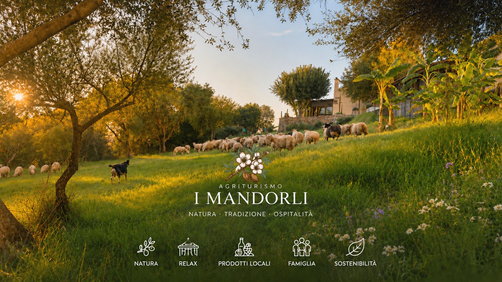 Parlez directement avec nous — Agriturismo I Mandorli