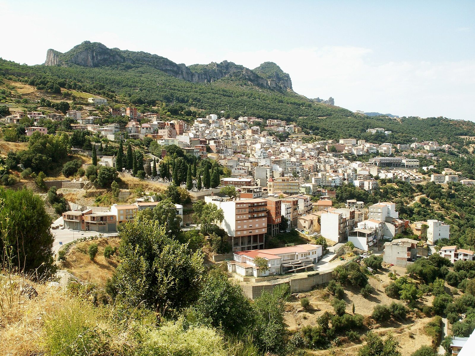 Jerzu's vineyards beneath the limestone heels