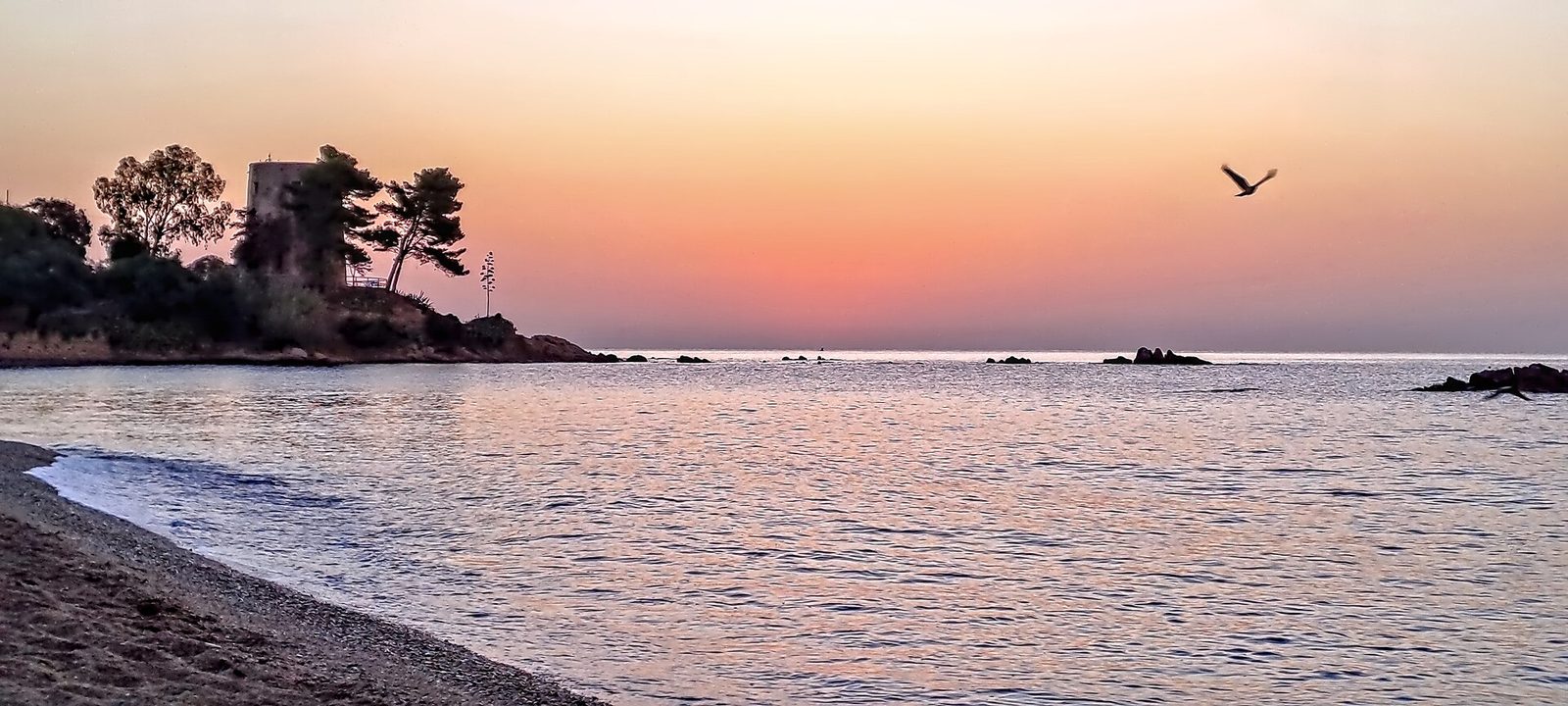 La spiaggia di Santa Maria Navarrese con gli olivastri secolari